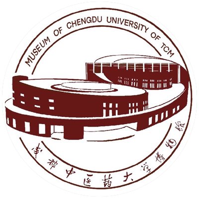 创新性研究一社会化