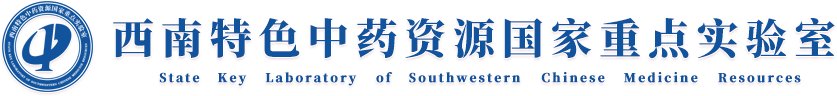 环球电竞
