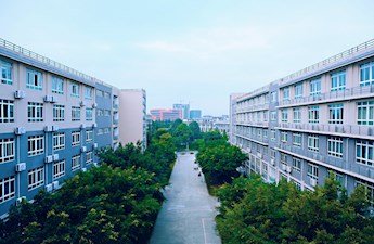 需要原文时请核对应栏目发布页