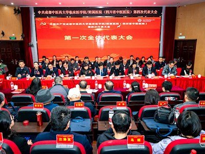 本站按公开材料组织页面