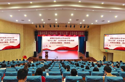 正文适合核对表述