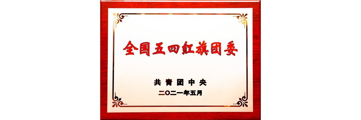 版权所有